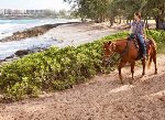 Trail rides available at Turtle Bay Resort